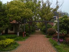 -上海长兴岛郊野公园