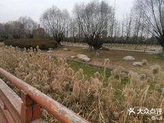 -汉长安城未央宫国家考古遗址公园