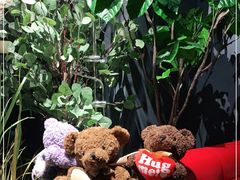 -咖法森林·咖啡  酒吧(天河店)