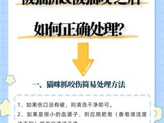 -立德动物医院·24小时中心(番禺区院区)