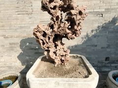 -齐白石旧居纪念馆