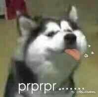 -青春飞扬网咖(剪刀石头布店)