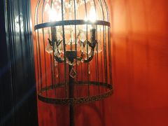 -猫色咖啡·猫咖