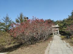 -泰山风景名胜区