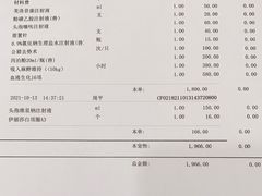 -睿金宠物医院·CT·肿瘤·骨外科