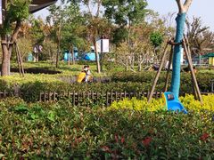 -季高兔窝窝亲子园(上海薰衣草公园店)