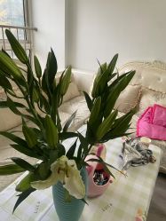 点击看大图 -贝爱妈咪科技美容产后修复(大悦城店)