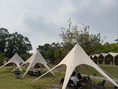 -东莞市大岭山森林公园