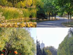 -永定河休闲森林公园