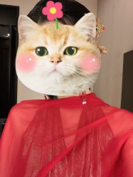 -盘子女人坊古装写真摄影(天津总店)