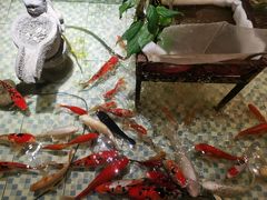 -向阳庄烧烤店(望京西园店)