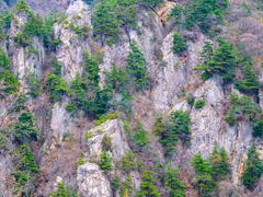 -王顺山国家森林公园