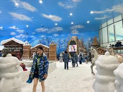 -世界之窗阿尔卑斯冰雪世界