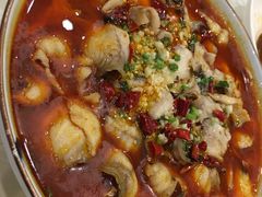 水煮鱼-大鸿运酒店·苏州菜·松鼠桂鱼(观前街店)