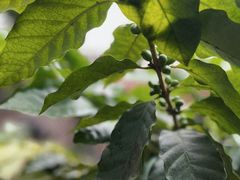 -后谷咖啡(建设巷店)