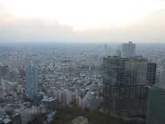 -东京都厅舍