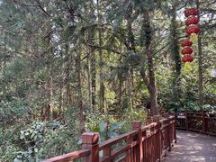 -英西峰林九重天景区