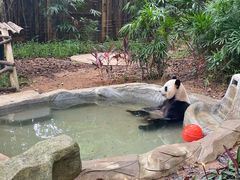-深圳野生动物园