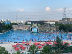 -苏州乐园森林水世界