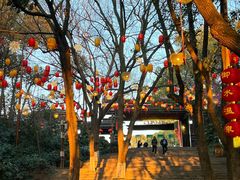 -天目湖山水园