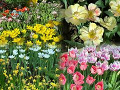 -石家庄市植物园