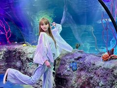 -沈阳海洋探索中心