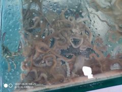 -福鑫源海鲜烧烤