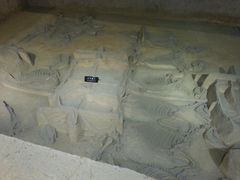 -洛阳周王城天子驾六博物馆