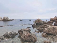 景点-养马岛旅游度假区