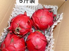 -四姑娘川味海鲜(八爪鱼店)