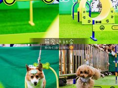 -砂之船奥特莱斯(合肥店)