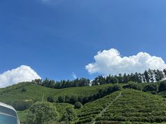 -心无尘茶餐馆(径山村店)