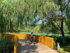 -圩墩遗址公园