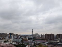 -上海东林寺(金山区)