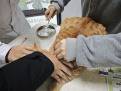 -瑞鹏瑞爱宠物医院·全科·猫科·血液透析中心(龙头寺店)