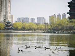 -迎泽公园