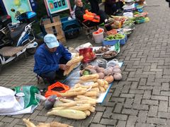 -上海海湾国家森林公园