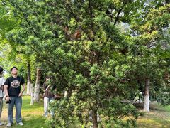 -艾溪湖湿地公园