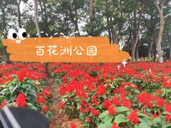 -松山湖梦幻百花洲