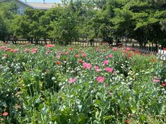 -国家植物园南园