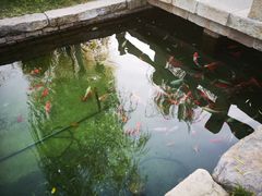 -春风习习