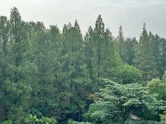 -上海虹桥迎宾馆