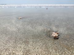-银滩滨海旅游度假区