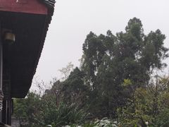 -峨眉山报国寺