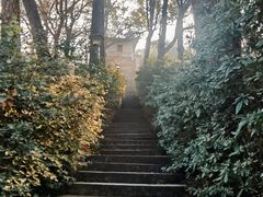 -西泠印社