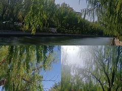 -南长河公园