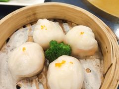 -金龙寨(龙城路店)