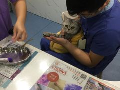 -伟伟宠物医院·CT影像中心·瑞派犬猫综合性门诊(汉口总院)
