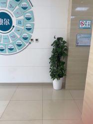 -澳尔颜选医疗美容