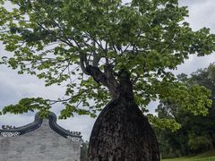 -香山湖公园